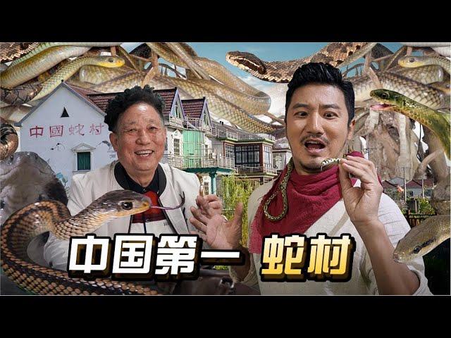 260集  与300万毒蛇共舞，探秘中国第一蛇村 ｜冒险雷探长Lei's adventure