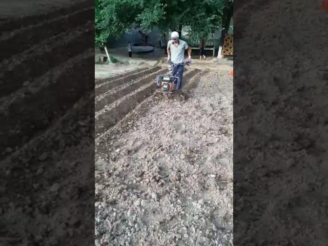 #automobile #baxttiladik #qishloq #farming #agriculture #haveitoldyoulatelythatiloveyou #kottabollar