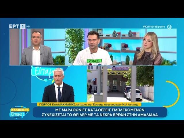 Καλλιακμάνης στην ΕΡΤ για τις εξελίξεις στην υπόθεση των νεκρών βρεφών στην Αμαλιάδα | 16.11.2024