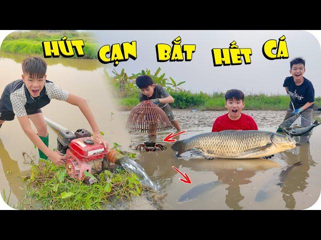 Hút Nước Bắt Sạch Cá Trong Đầm Nước Bỏ Hoang | Min Min TV Minh Khoa