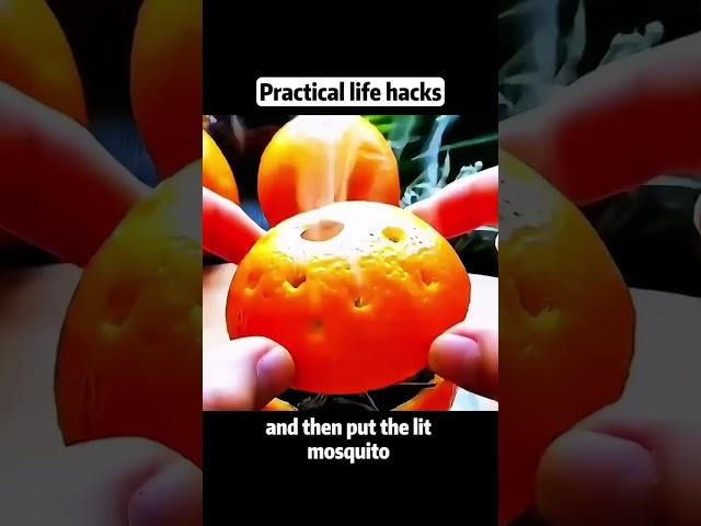 Practical Life hacks #lifehacks #lifetips #diy