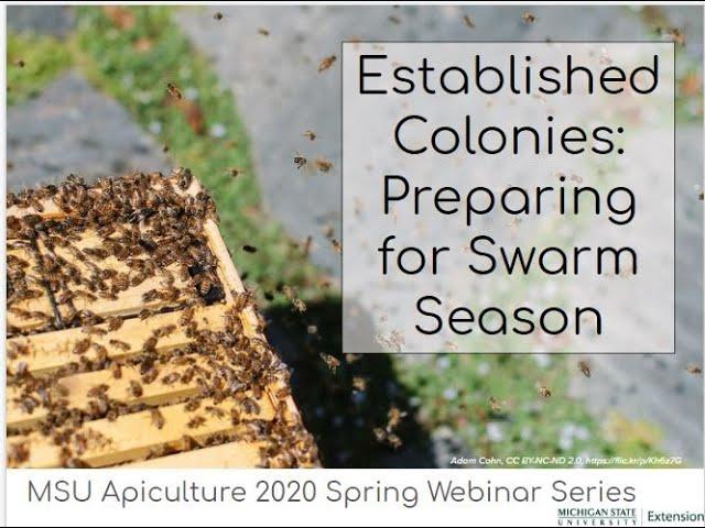 Established Colonies:  Preparing for Swarm Season