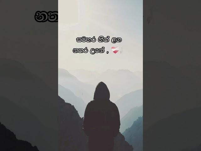 කතාව ඇත්ත නම් කමෙන්ට් කරන්න sinhala wadan tik tok whatsapp status  | sinhala whatsap stories