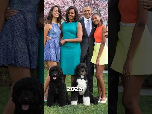 Inside Malia Obama’s Lifestyle: A Glimpse into Her World #maliaobama #celebrity #lifestyle #family