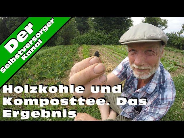 Alternative Gartenbaumethoden. Holzkohle und Komposttee. Das Ergebnis.