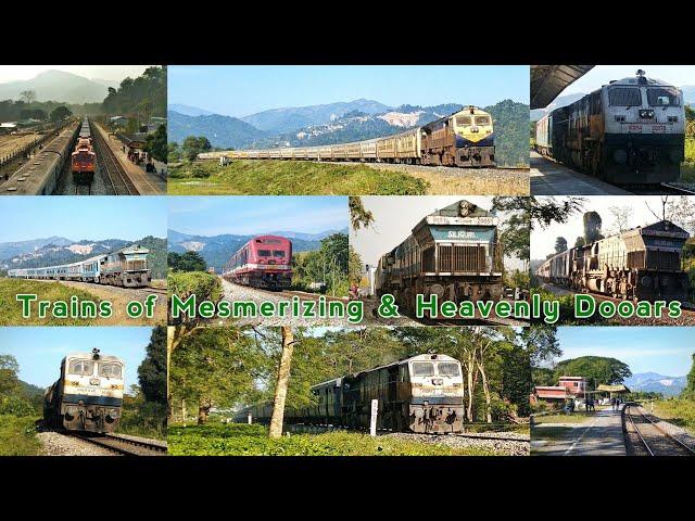 Part 2: Trains of Mesmerizing & Heavenly Dooars | Indian Railways