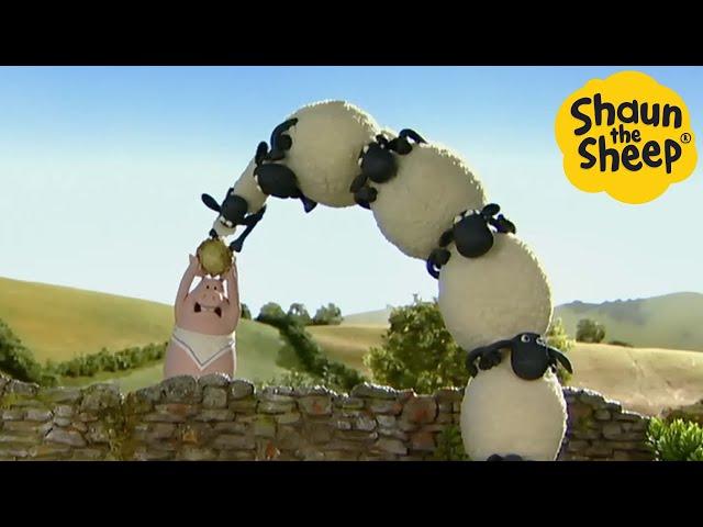 Shaun the Sheep  Leaning Tower of SHEEP - Cartoons for Kids  Full Episodes Compilation [1 hour]