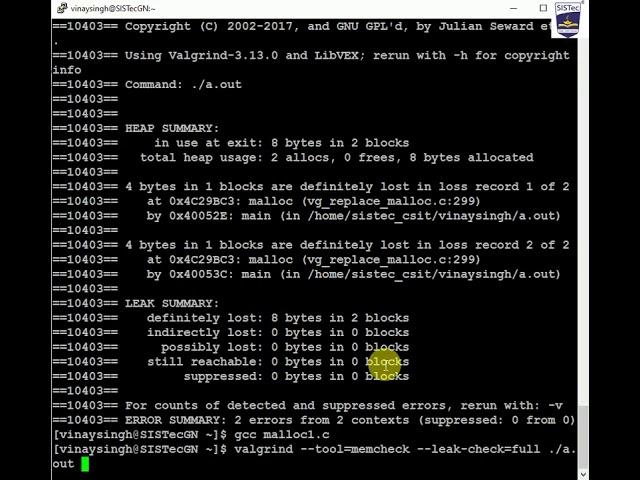 Dynamic Memory Allocation | Prof. Vinay Singh | SISTec GN