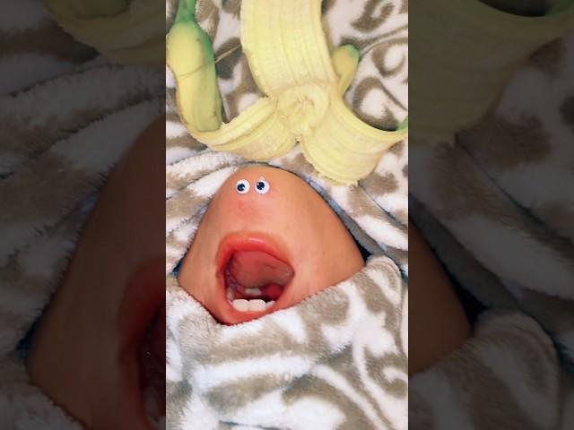 Rosy is back and hates bananas  #youtubeshorts