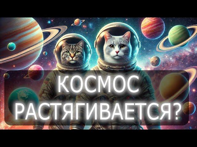 Может ли космос порваться? Поддаются ли кошки дрессировке? И другое