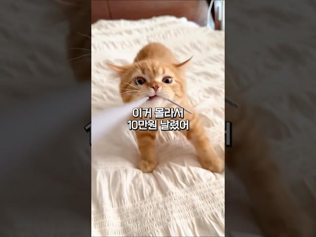 한번 물면 안놔주는 쥐꼬리 낚시대