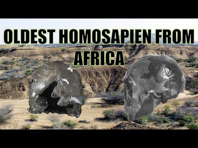 The Oldest Homo sapien From Africa