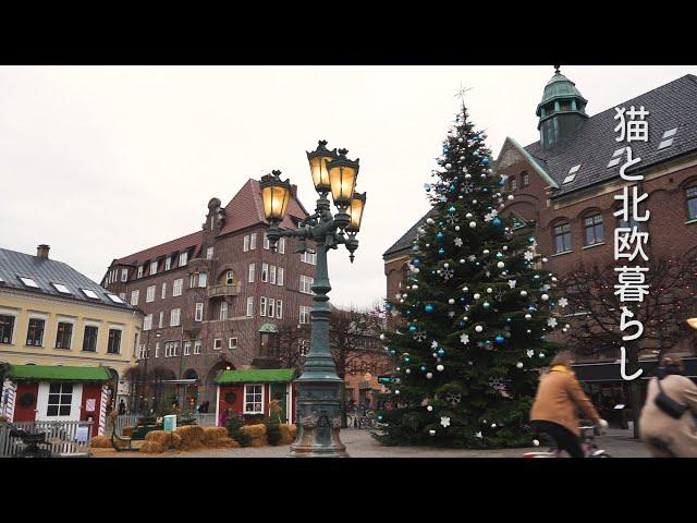 Scandinavian life  Christmas shopping in the city of Sweden / Pippi's house /Christmas tree