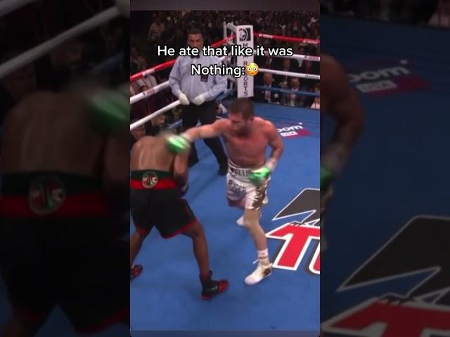 Huge Punch Eaten Like it was Nothing!