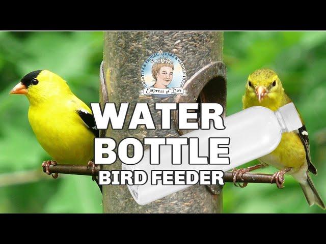 DIY Water Bottle Bird Feeder