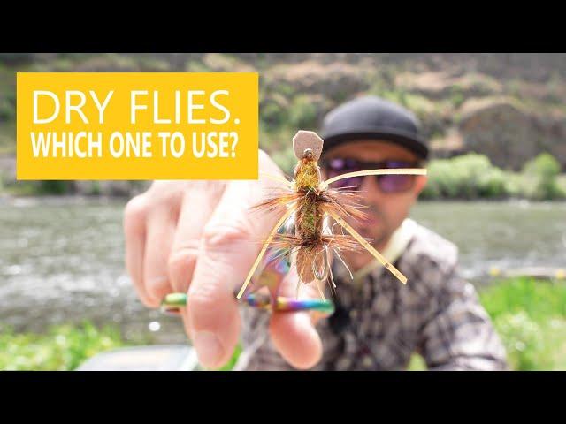 How to Select a Dry Fly // Riverside Chat