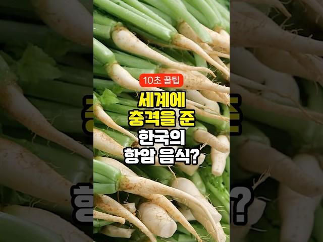 전 세계에 충격을 준 한국 항암 음식 3가지