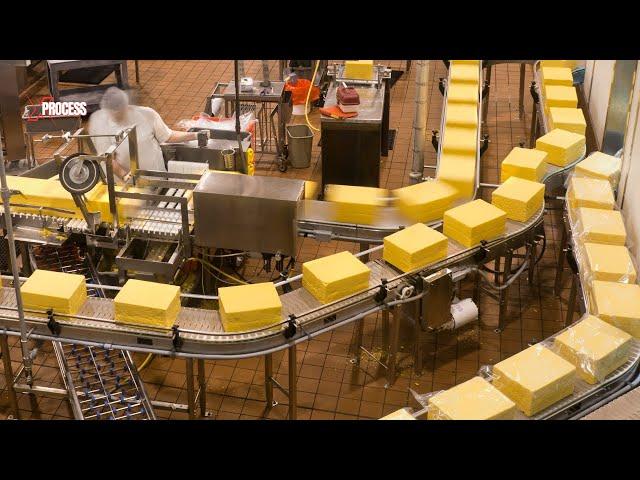 How is Cheddar Cheese Made? Cheddar Cheese FACTORY!