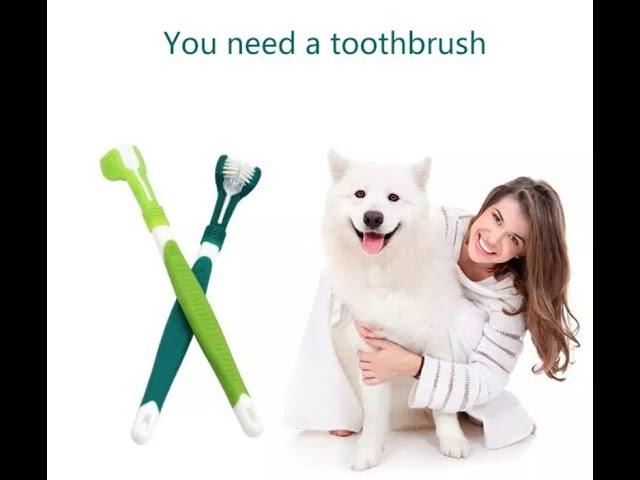 Pet Toothbrush Three-Head Toothbrush