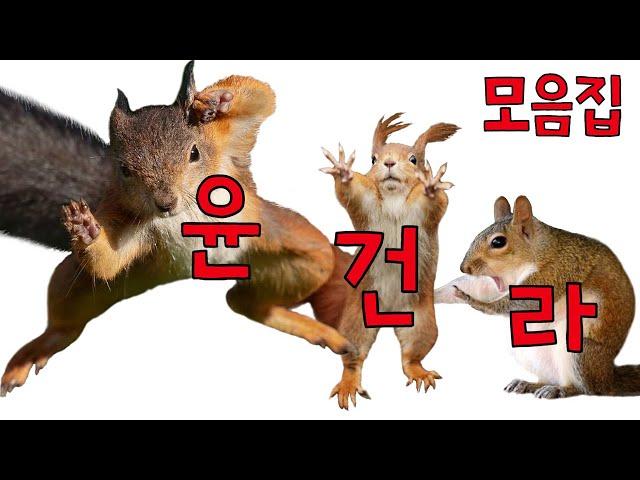 [생존스쿨 촉망고] 윤건라 1~3 모음집