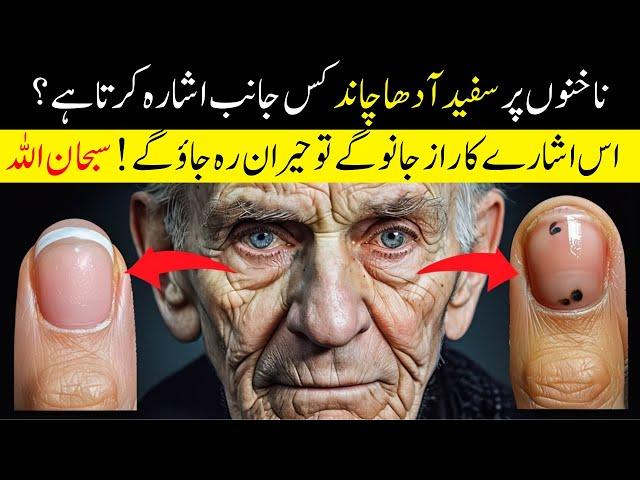 Islamic Moon Signs: What Your Nails Secretly Reveal About Your Personality! Islam Advisor