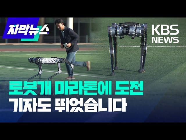 4족 로봇 세계 첫 마라톤 풀코스 도전 / KBS 2024.11.16.