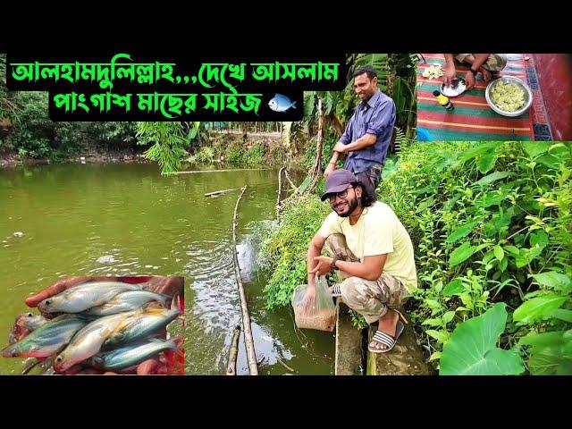 আলহামদুলিল্লাহ,,,দেখে আসলাম পাংগাশ মাছের সাইজ 