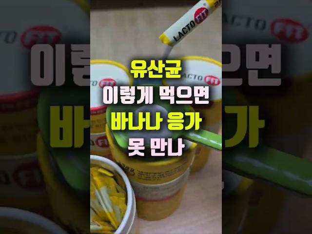 유산균 이렇게 먹지마세요! 효과 줄어요. 락토핏 프로바이오틱스.
