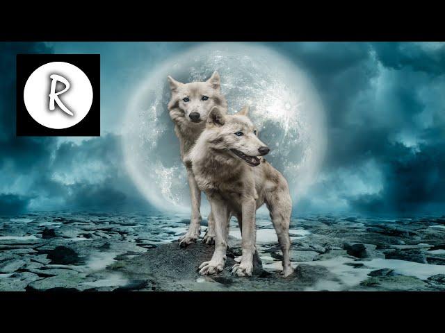 Native American Indian Music | Power Animals & Native Nights | Shaman soft sleep music | Niall