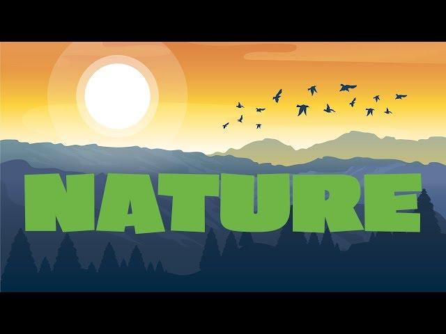 Nature Vocabulary for Kids with Sounds