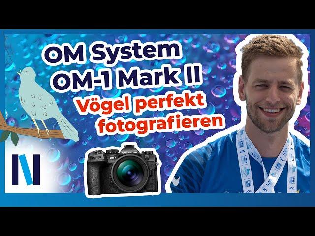 OM System OM-1 Mark II: Problem gelöscht: Einstellungen & Funktionen für die Vogelfotografie