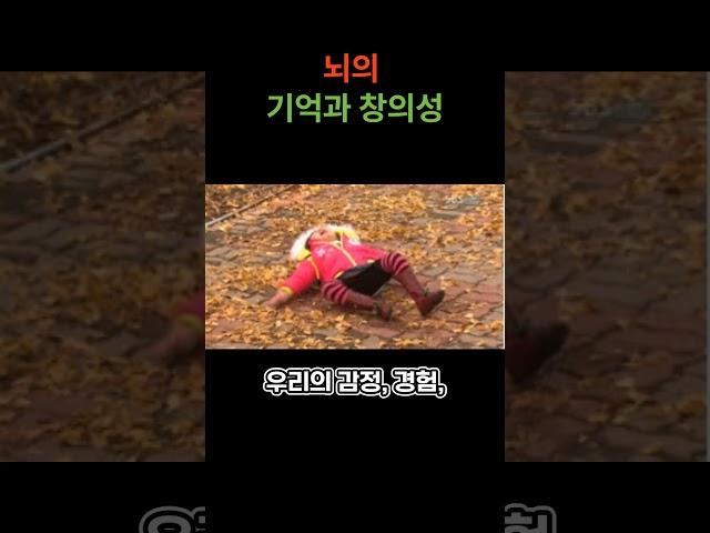 뇌의 기억과 창의성