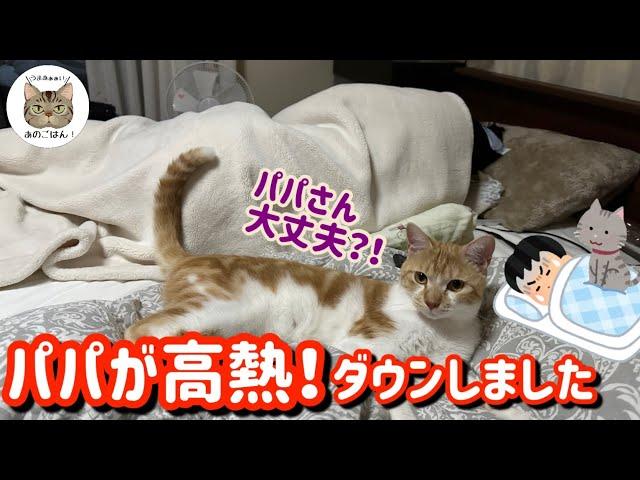 【悲報】動画お休みになります（サブチャンネルもお休みになります）