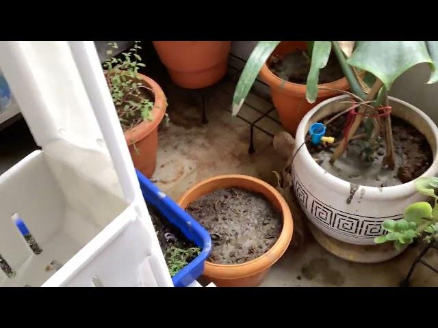Gardening