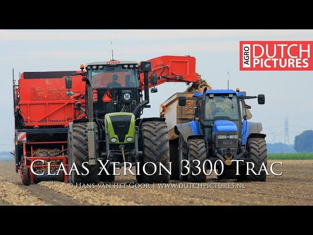 Onion harvest with Claas Xerion 3300 Trac! | Uien laden | Dewulf RA2060 |Sam De Visser|NL