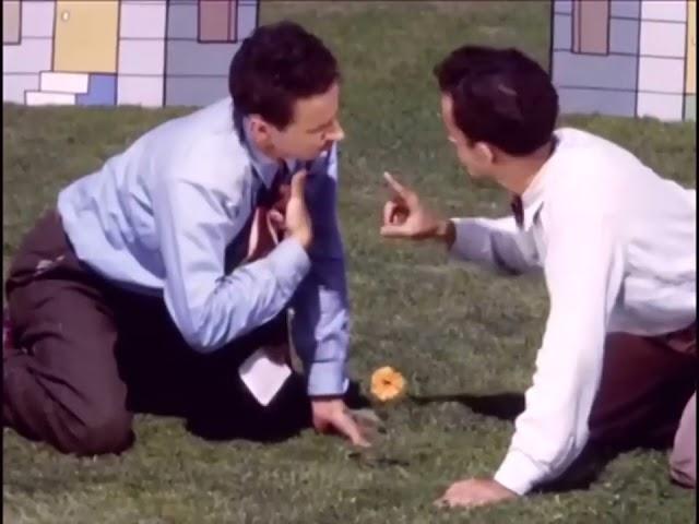 Norman McLaren's  Neighbours 1952 REMASTERED