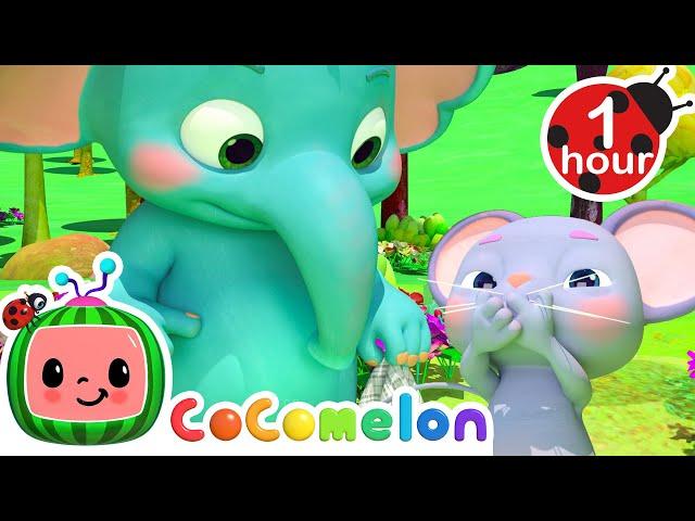 Don't Forget to Catch Your Sneeze! | CoComelon | Nursery Rhymes & Kids Songs