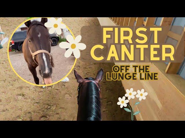 FIRST CANTER!!! BEST RIDE EVER | GORPRO RIDE WITH ME