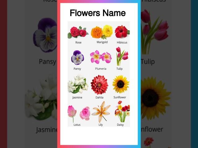 Flowers Name in English