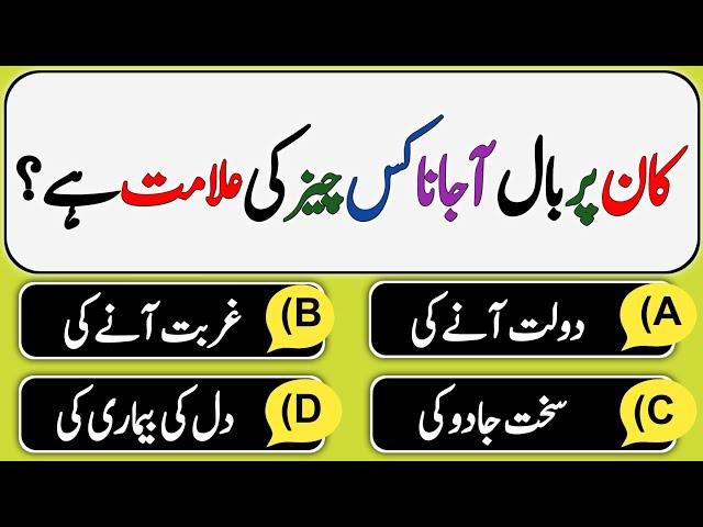 Top Islamic Question And Answer | Amazing Islami Quiz | Islamic Sawal Jawab | Common Sense Paheliyan