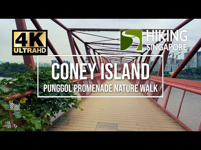 Coney Island & Punggol Promenade Nature Walk (10km 1.5hours)- Hiking Singapore [4K] [HDR]