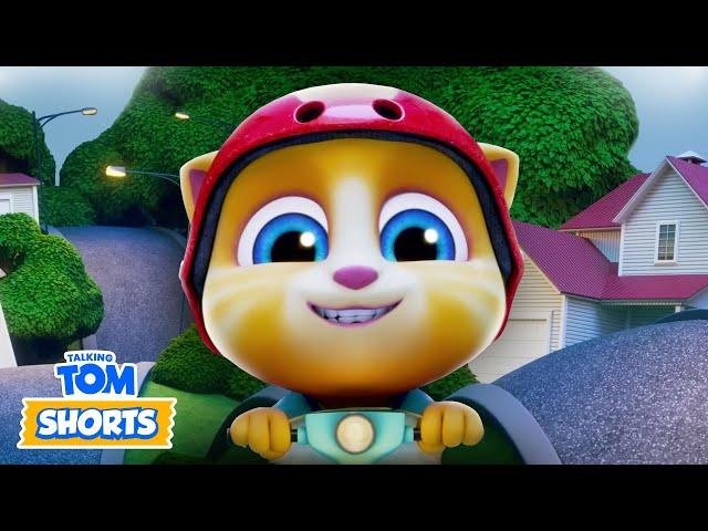  Secret Treasure Hunt  - Talking Tom Shorts (S2 Episode 41)