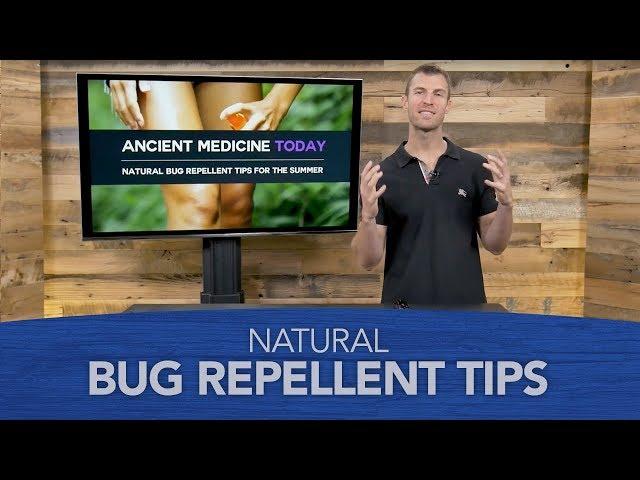 Natural Bug Repellent Tips for the Summer