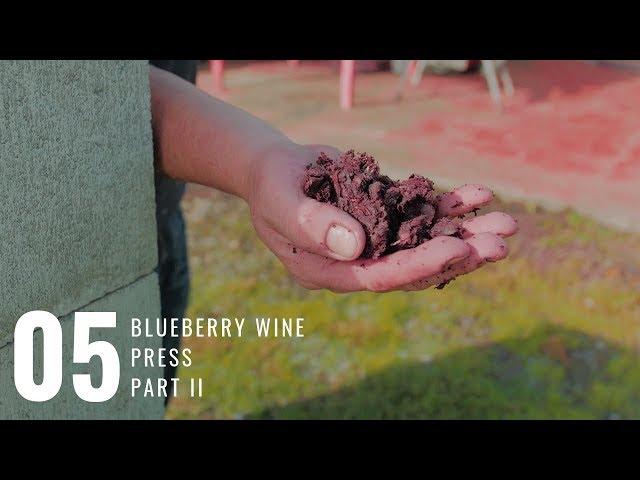 EP05 | Blueberry Wine Press | Angel Estate Winery  [Part 2/2]