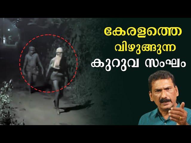 കുറുവ സംഘ ഭീതിയിൽ കേരളം |BS Chandra Mohan |Mlife Daily