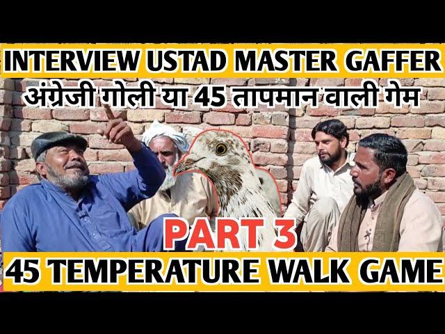 ENGLISH GOLI|| 45 TEMPERATURE WALI APNI GAME|| USTAD MASTER GAFFER NE BATA DI #aliimranpigeonsvlog