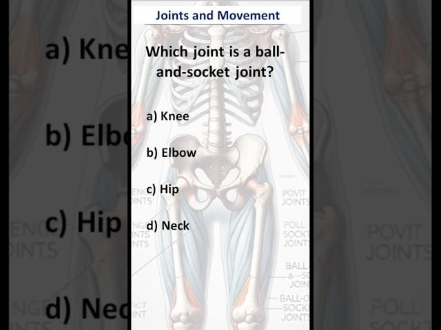 Mastering Joints & Movements: The Skeletal System Simplified! #neet #biology #ssc #science  #anatomy