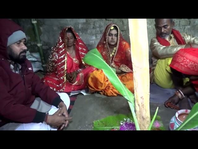 Rupesh Kumar Chaudhary ka sadi video %555