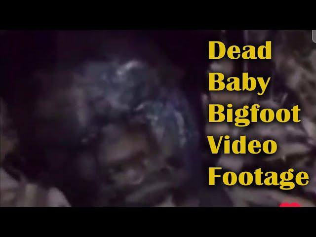 Dead Baby Bigfoot Video. Is this a Sasquatch