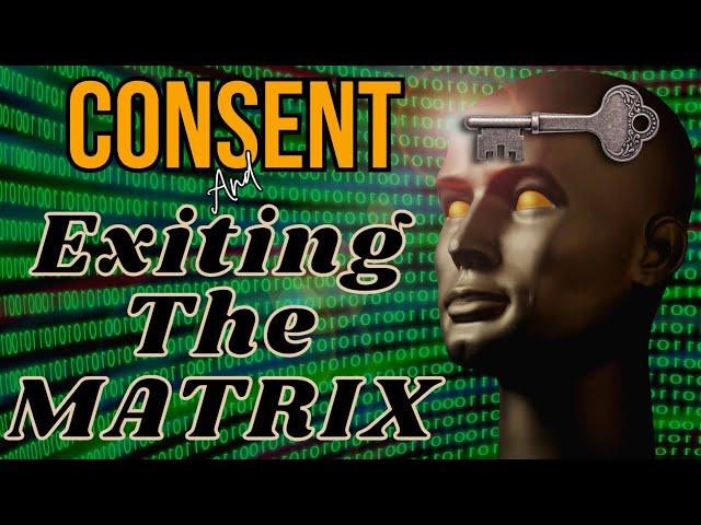 NDE | Had To CONSENT | Memories Were HIDDEN Because of Agreement | Matrix Reincarnation Soul Trap